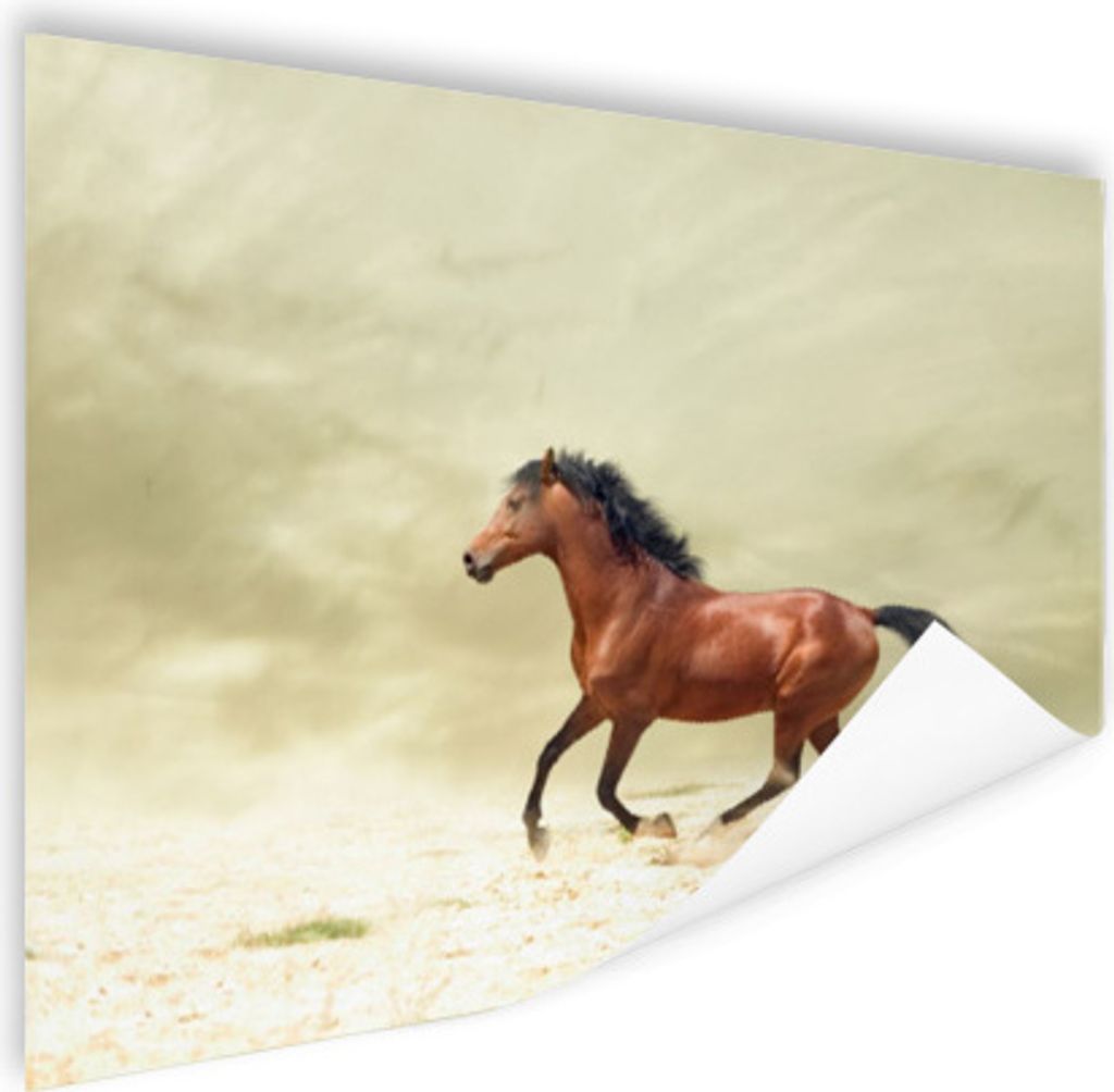 MuchoWow Poster Pferd - Stoff - Sand 160x120 cm - Foto Plakat