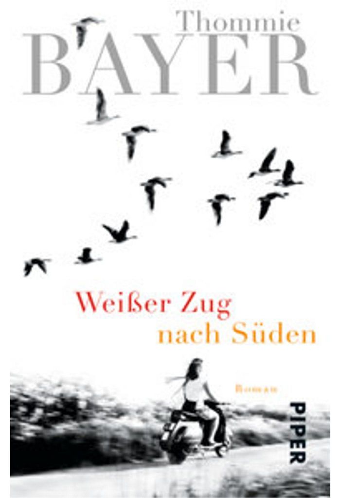 Weißer Zug nach Süden