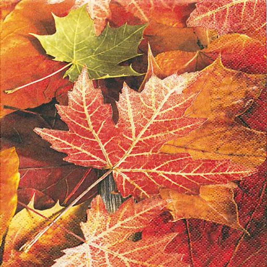 20 Servietten Maple Leaves - Ahornblätter 33x33cm