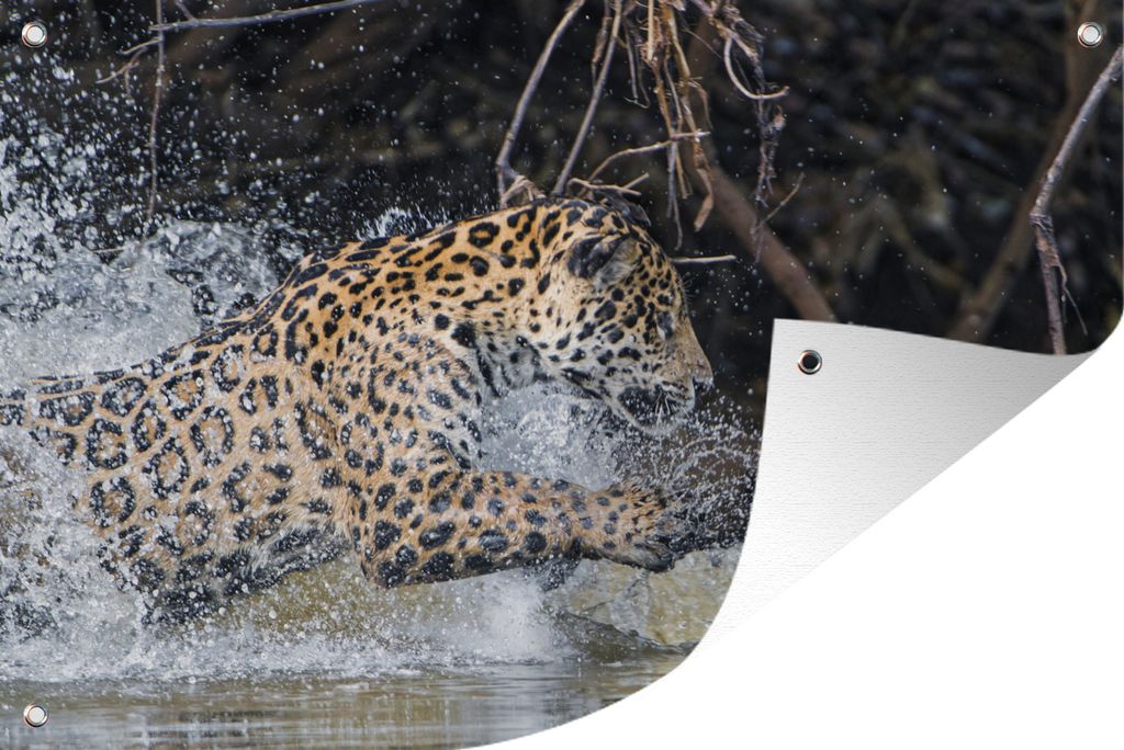 MuchoWow 90x60 cm Outdoor-Poster Gartendeko Sichtschutz Garten Poster für den Garten Jaguar - Jagd - Beute