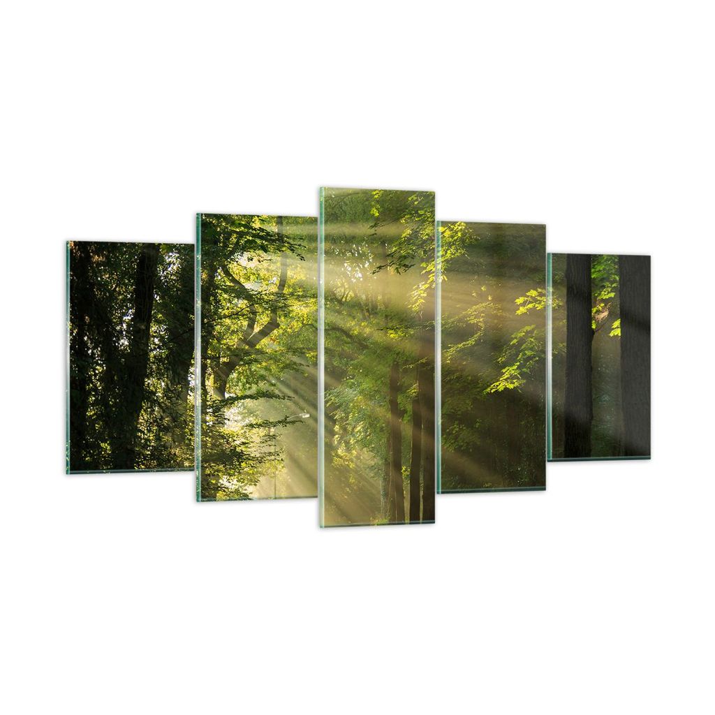 Bilder auf glas - Wald Baum Natur - 160x85cm - Glasbilder - Wandbilder - Kunstdruck - zum Aufhängen bereit - Wanddekoration aus Glas - Glas Bilder...