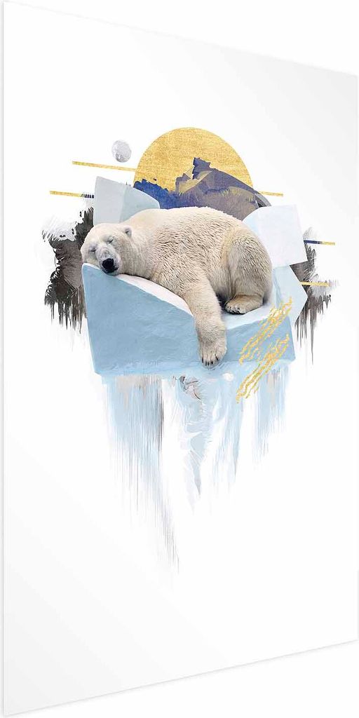 Posterpapier Poster - Polar Bear 60x90 cm Tiere g-C-0132-ao-a