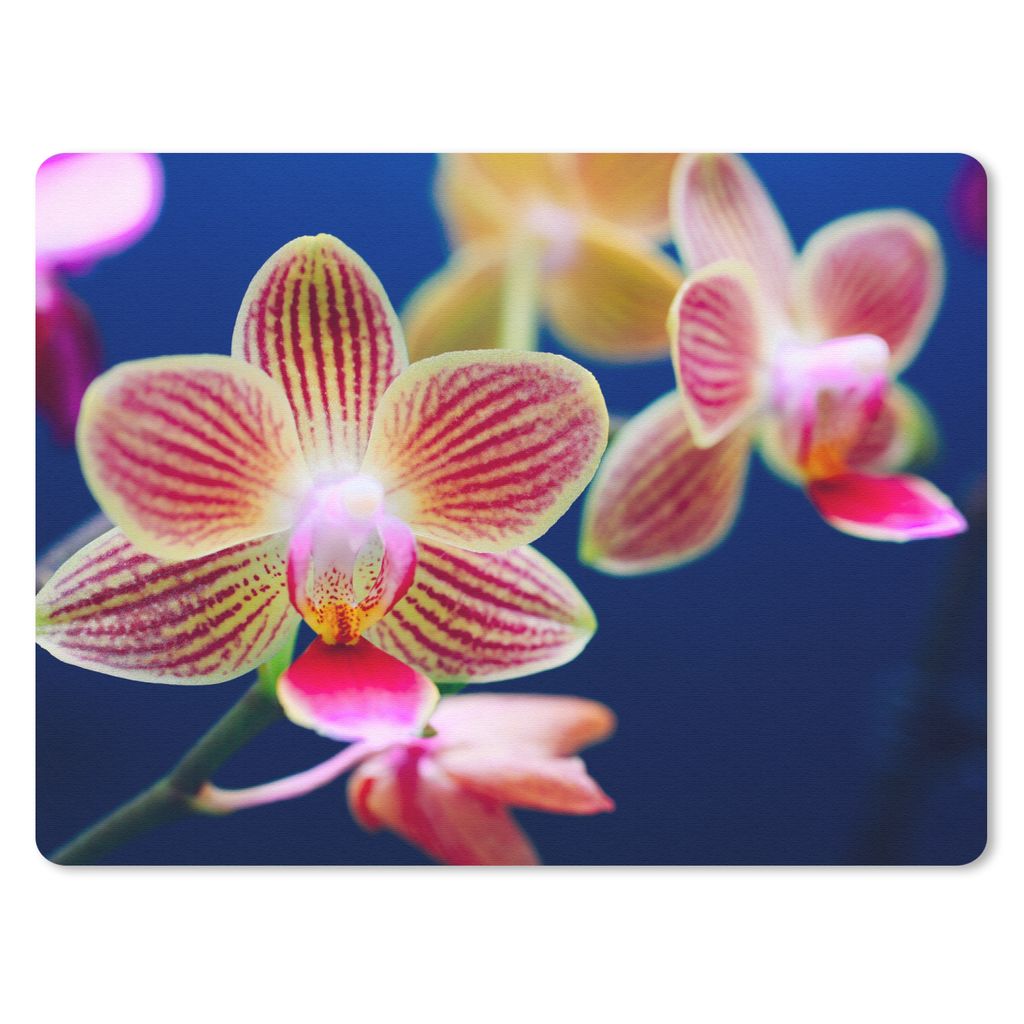 MuchoWow Mauspad Mousepad Von Orchidee 40x30 cm - Mousepads - Maus Mat - Pad - Mausunterlage - Anti Rutsch