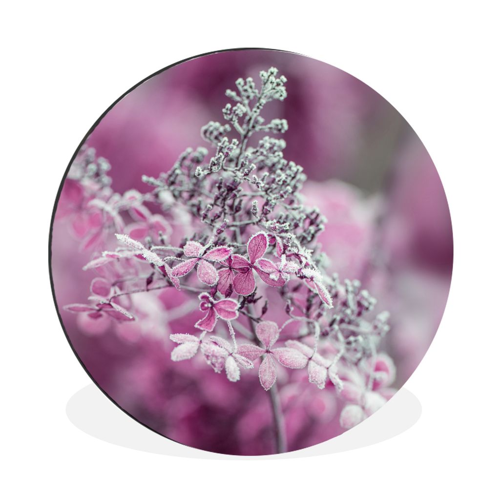MuchoWow Aluminium Wandkreis Nahaufnahme von gefrorenen Hortensienblüten Ø 30 cm Wanddeko Modern Wohnzimmer - Wand Bild - Wohnzimmer - Runde Bi...
