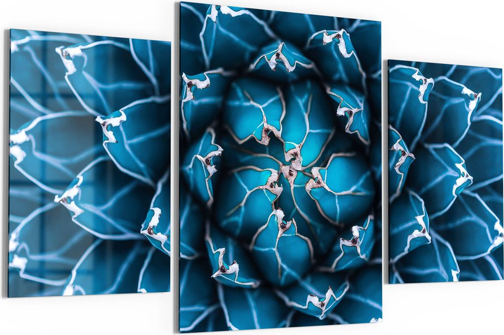 DEQORI Glasbilder 3-tlg 140x80 cm 'Detailansicht einer Agave' Wandbilder XXL groß