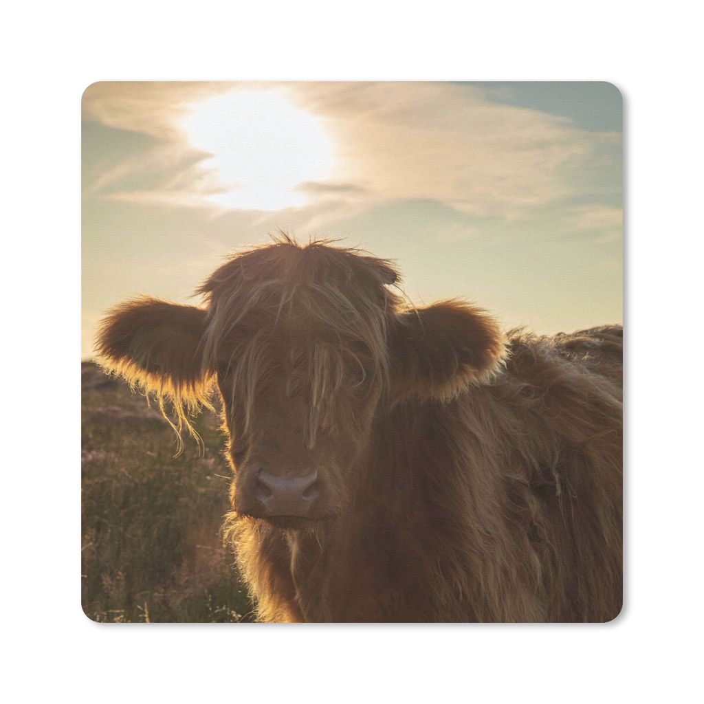 MuchoWow Mauspad Mousepad Schottischer Highlander - Sonnenuntergang - Gras 30x30 cm - Mousepads - Maus Mat - Pad - Mausunterlage - Gaming