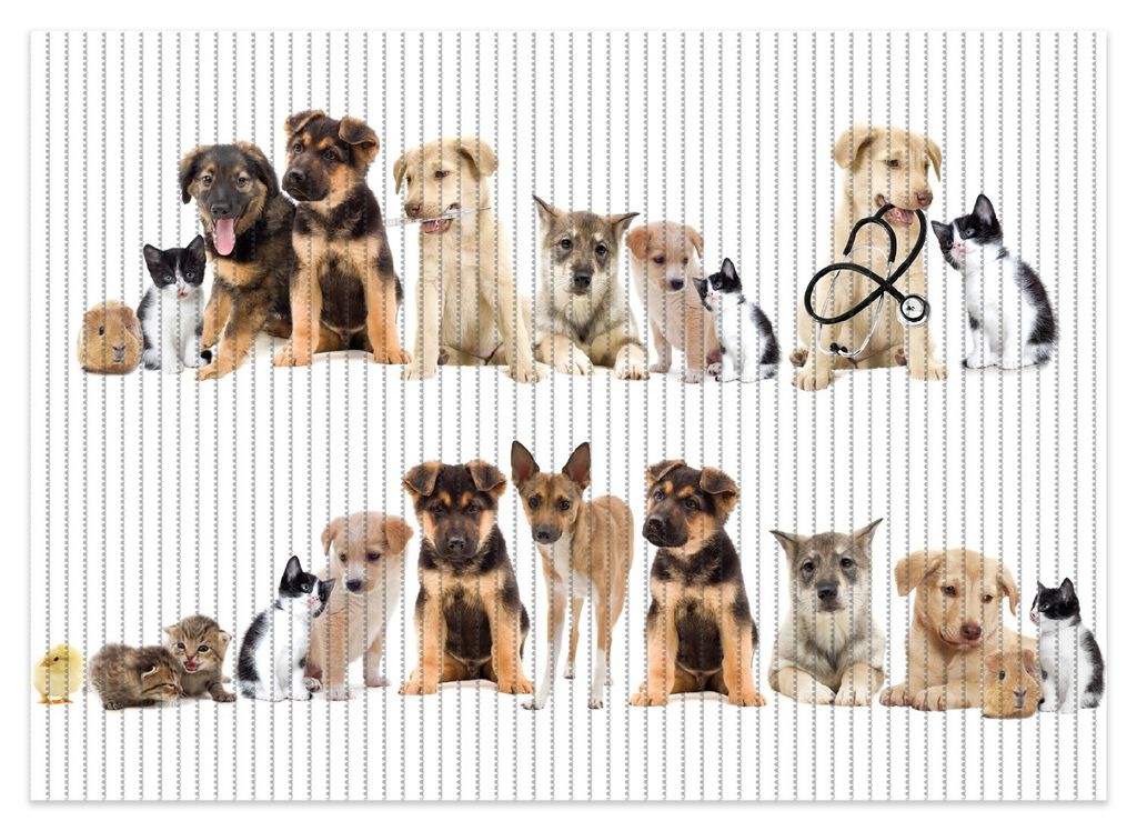 Wallario Duschmatte Antirutschmatte Badmatte Fußmatte Süße Haustiere - Katzen Hunde Hamster Küken, Größe ca. 70 x 50 cm