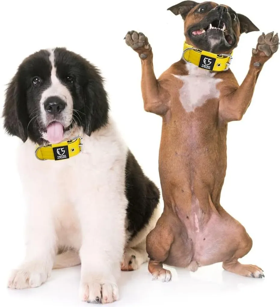 Collier tactique jaune pour chien de garde et randonnée extrême - M