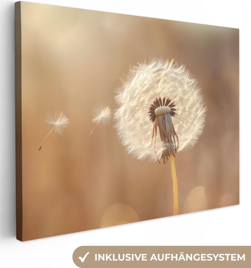 Leinwand Bilder 80x60 cm - Blumen - Löwenzahn - Beige, Wandbilder, Wanddeko Wohnzimmer, Bild