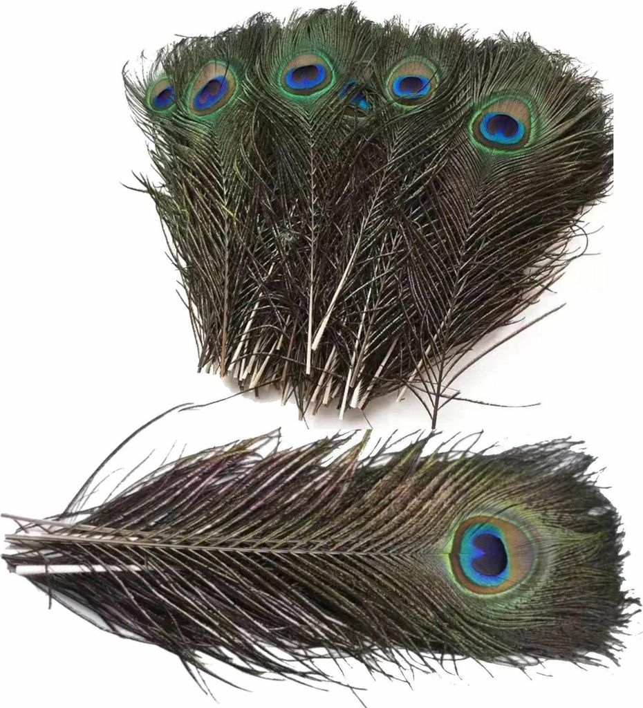Plumes de paon, env. 25-30 cm, 5 pièces Image du produit 