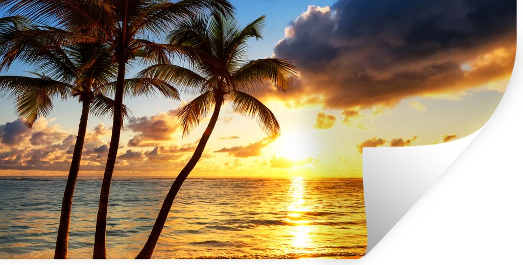 MuchoWow Wandtattoo Wandsticker Wandaufkleber Strand - Horizont - Sonnenuntergang - Palme - Meer 40x20 cm Selbstklebend und Repositionierbar - Au...