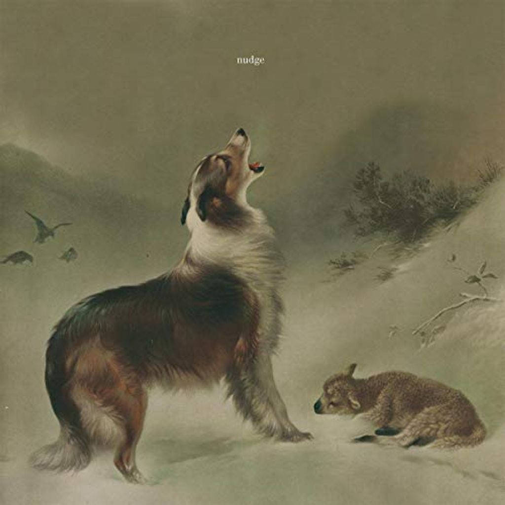 Nudge - so gut wie gegangener CD