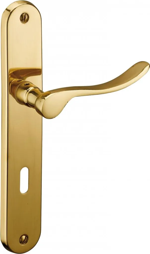 Poignée de porte Marianne Thirard laiton poli clé I carré 7mm 195mm