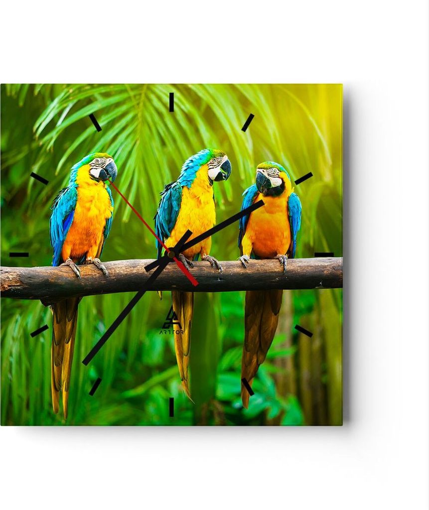 Wanduhr - Quadrat - Glasuhr - Papageien Collorful Natur Vögel - 30x30cm - Schleichendes Uhrwerk - Lautlos - zum Aufhängen bereit - Dekoration Mod...