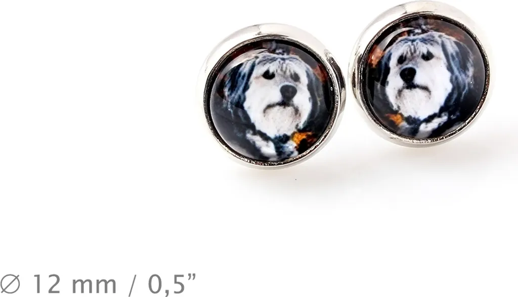Cane da pastore polacco di pianura, PON - Orecchini in una scatola, la tua foto, gioielli fatti a mano, marchio proprio di Art-Dog. - 4