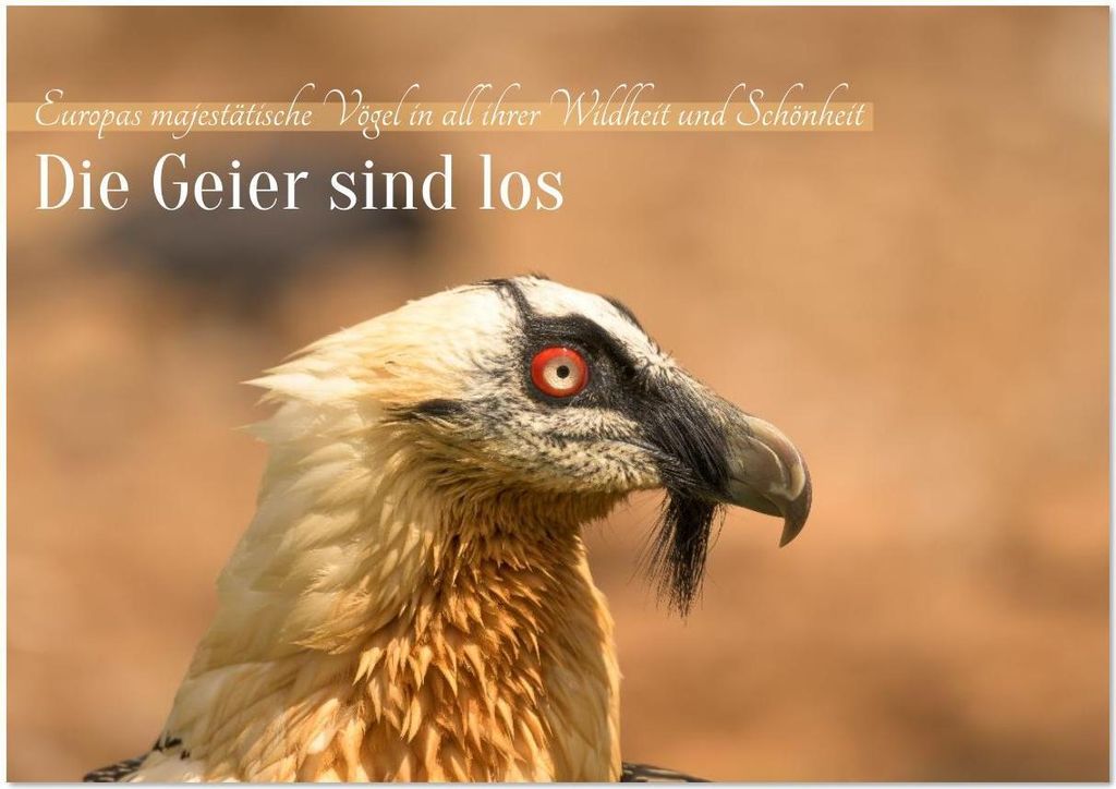 Die Geier sind los (Tischkalender 2026 DIN A5 quer), CALVENDO Monatskalender