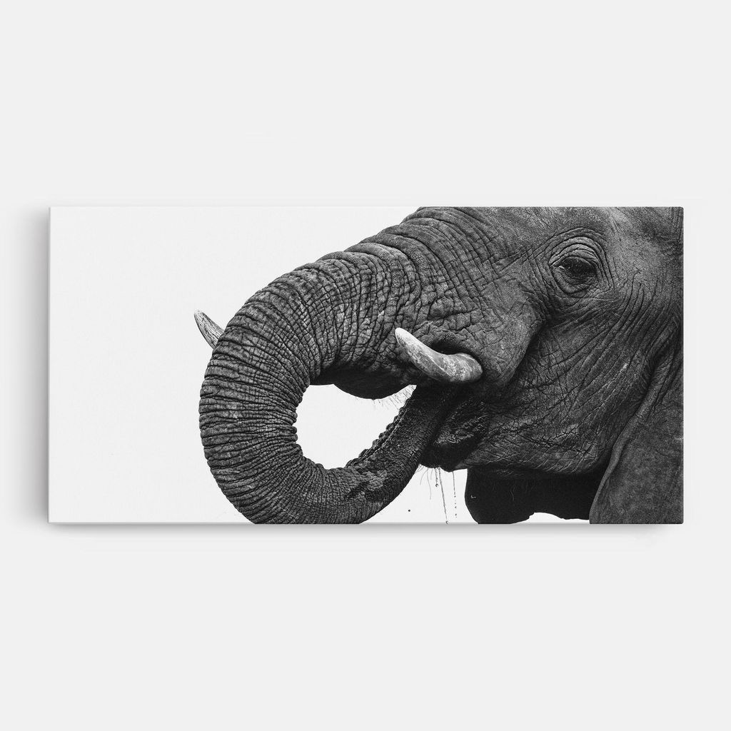 ARTHUB Leinwandbild 60x120 cm, Elephant Drinking | Wohnzimmerdekoration, Hängende Bilder, Wanddekoration, Heimdekoration, Moderne, Schwarz-Weiß