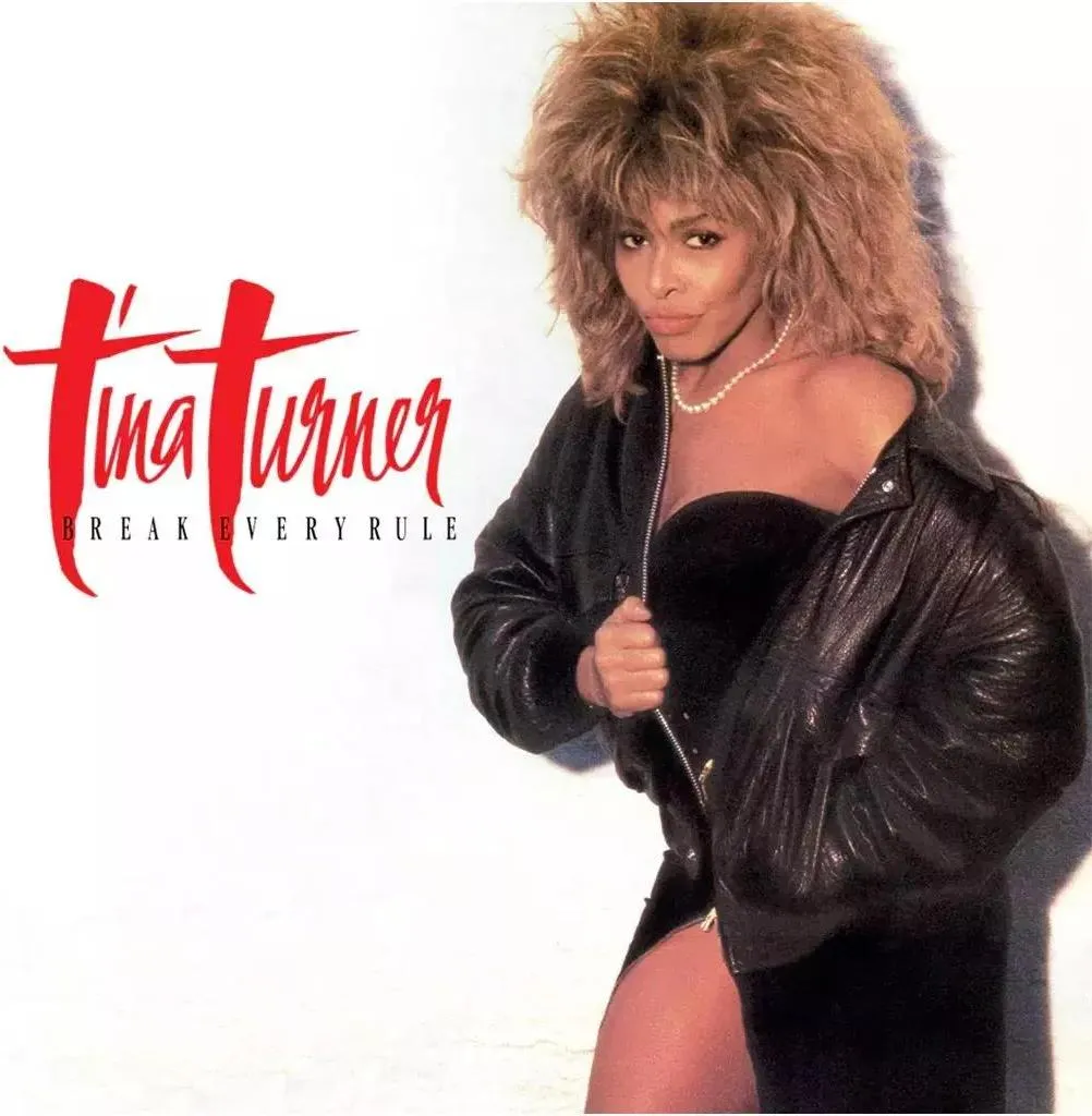 Album vinyle Tina Turner 33 tours Break Every Rule rock des années 80