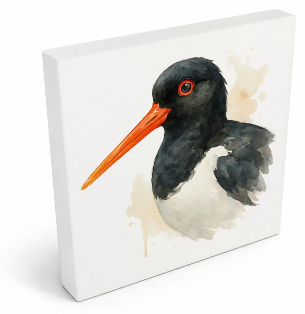 Vogelparade Austernfischer Aquarell Holzbild in 10x10 cm zum Stellen oder