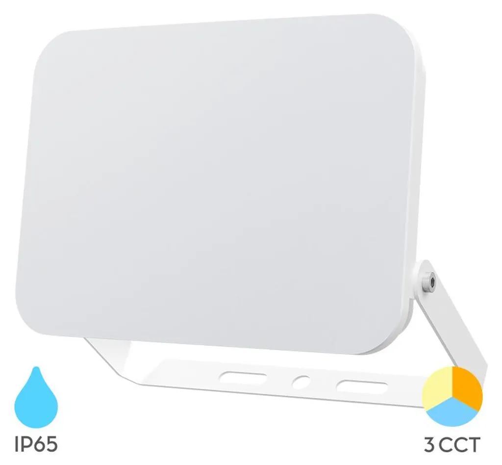Projecteur extérieur LED 100W 3CCT Braytron pour grands halls et sites