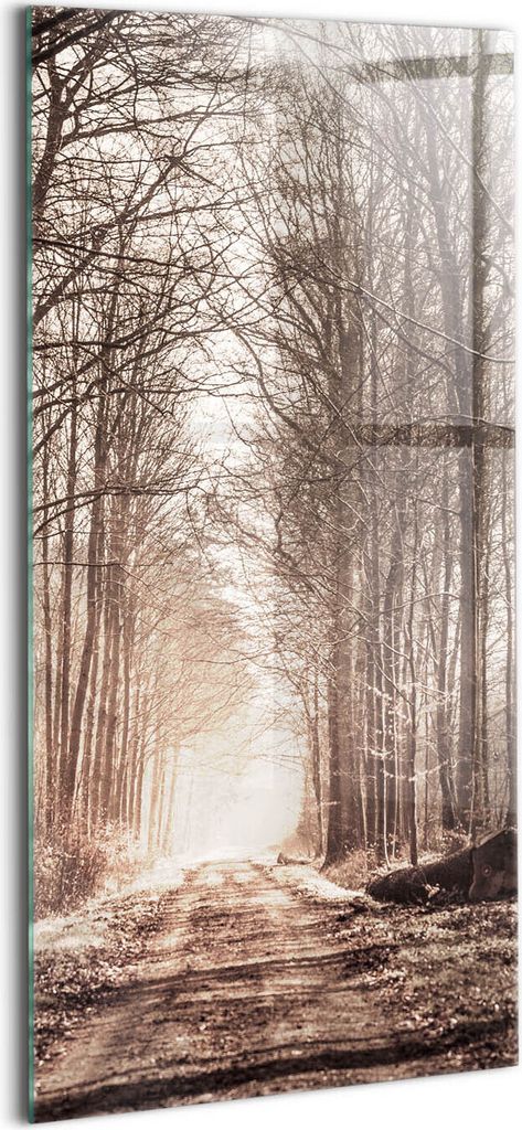 Designer Glasbild - Wandbild - Glas Bild - 50x100 cm - Waldweg In Sepiafarben
