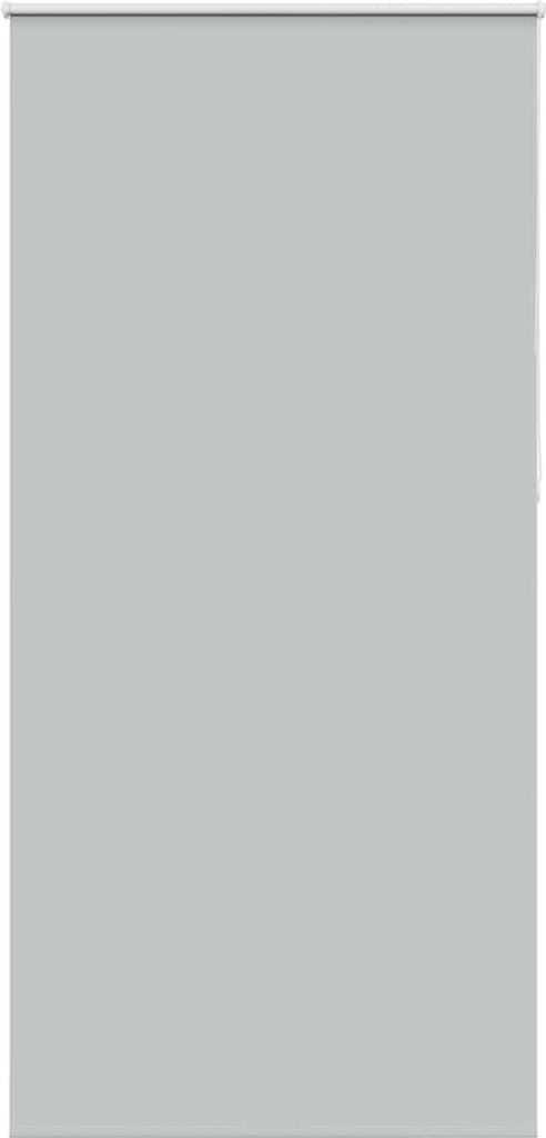 Verdunkelungsrollo Hellgrau 95x210 cm Stoffbreite 90,7 cm