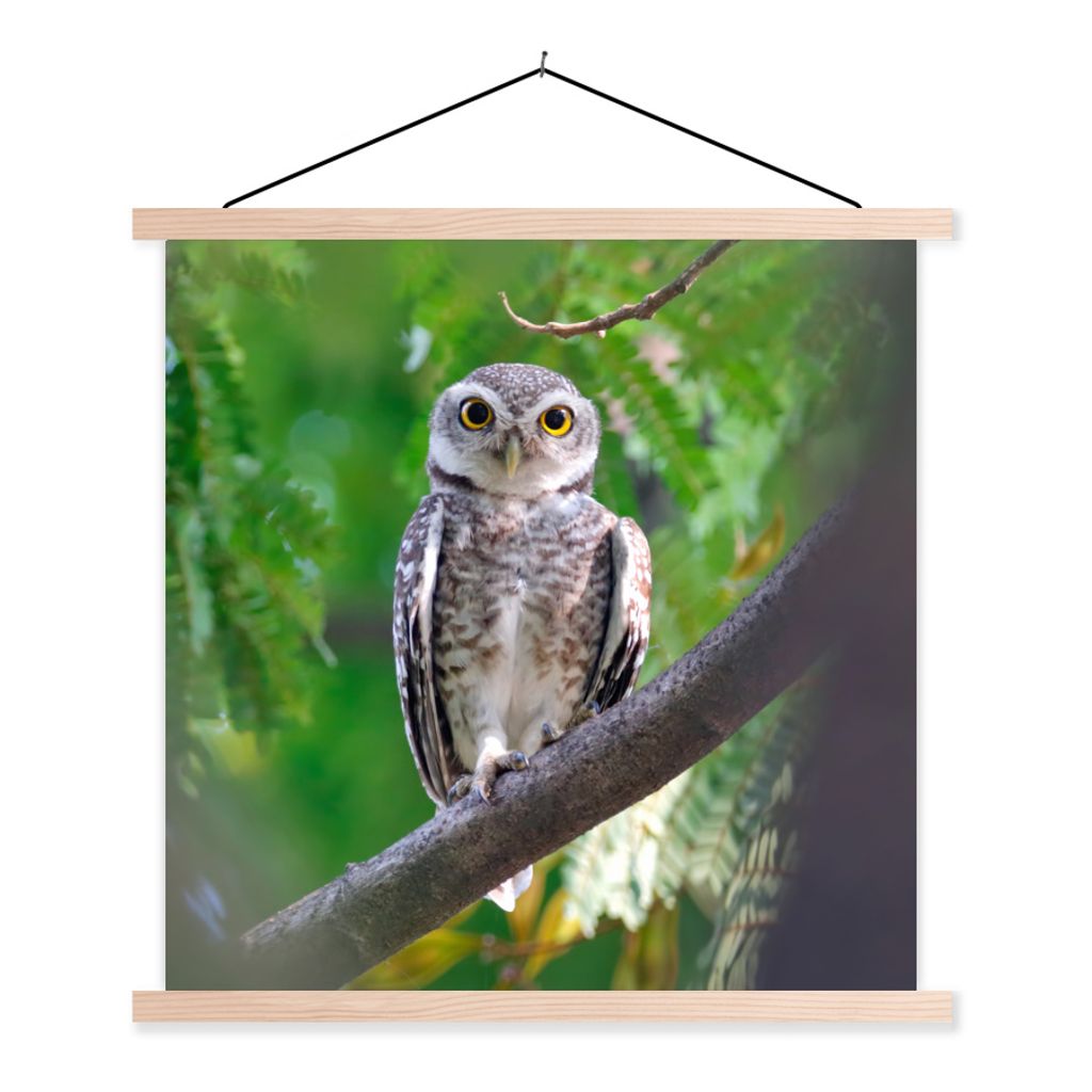 MuchoWow Textilposter Eule auf Ast sitzend 60x60 cm mit holzfarbenen Rahmen - Wanddekoration