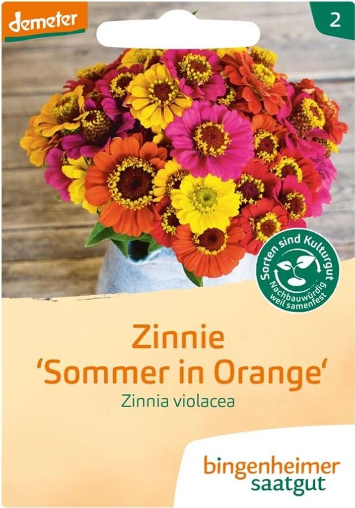 Zinnie - Sommer in Orange