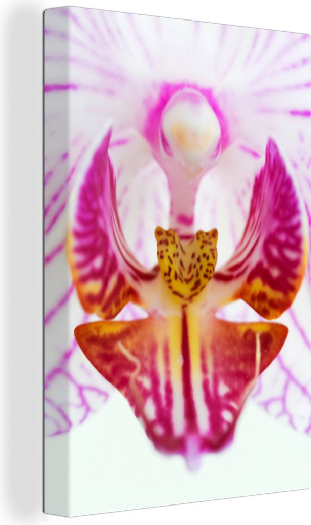 OneMillionCanvasses - Leinwandbilder - 90x140 cm, Orchidee Detail, Wandbilder Kunstdruck Wanddekoration - Foto auf Leinwand - Gemälde auf Holzra...
