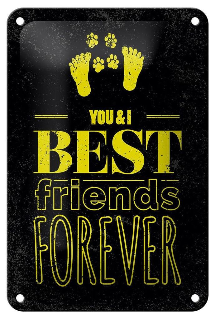 Blechschild Spruch Freunde You I best friends forever 12x18cm Schild