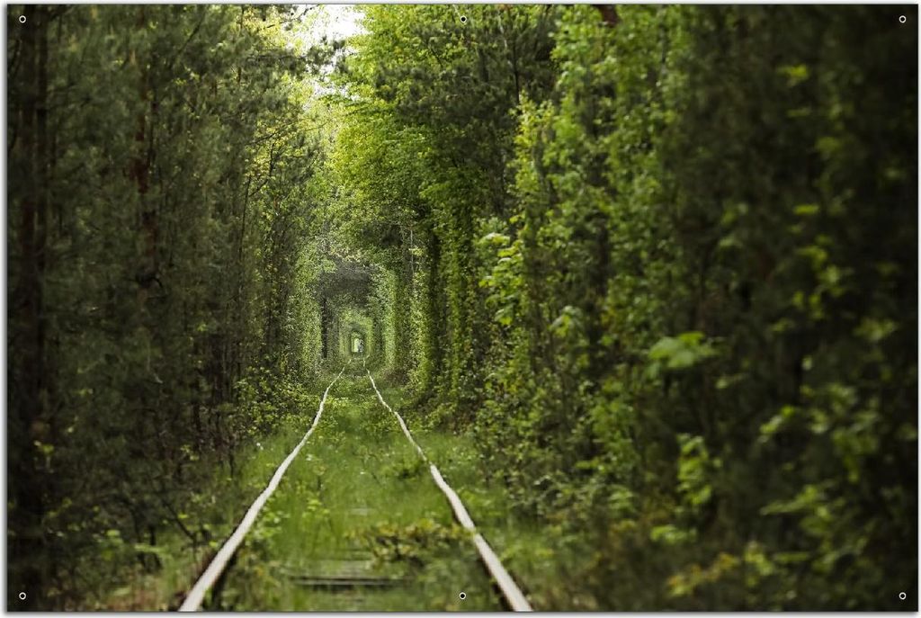 Wallario Outdoor-Poster für Garten oder Balkon, Motiv Verwunschener Tunnel aus Bäumen, in ca. 61 x 91,50 cm