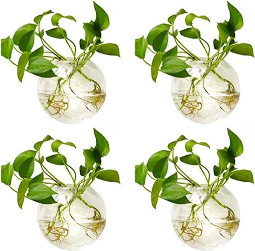 Pot de Fleur Mural pour Décoration Intérieure et Plantes de l'Air