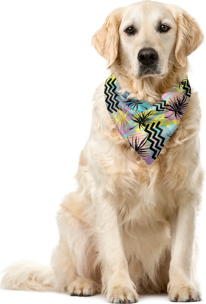 ABAKUHAUS Bandana astratta per animali domestici, composizione eccentrica e luminosa, 40x40 cm, multicolore