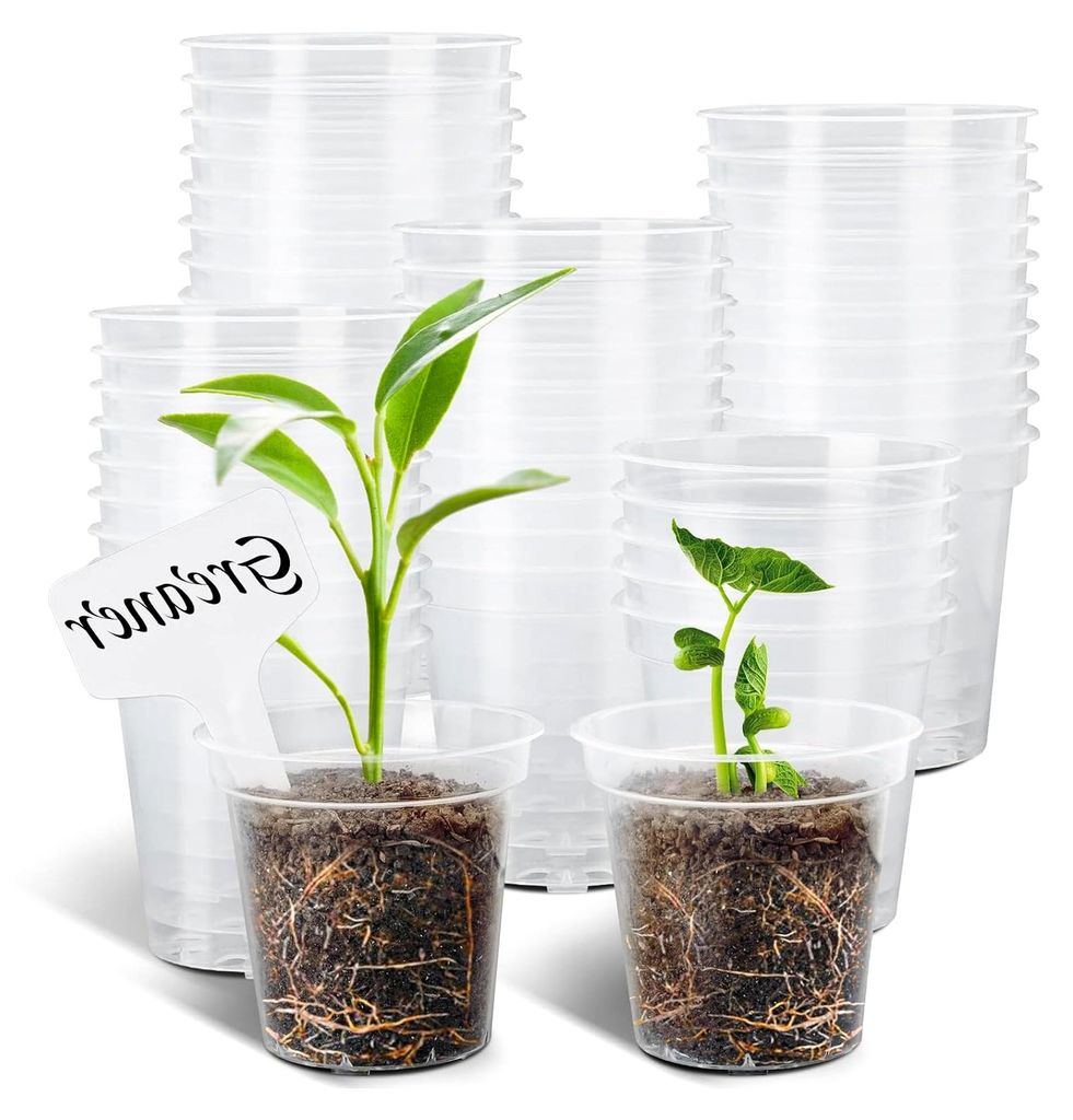 60 Packungen transparente Pflanztöpfe, 7,6 cm Kunststofftopf mit Drainagelöchern, verstärkter Blumensamen-Startertopf für Innen- und Außenbere...
