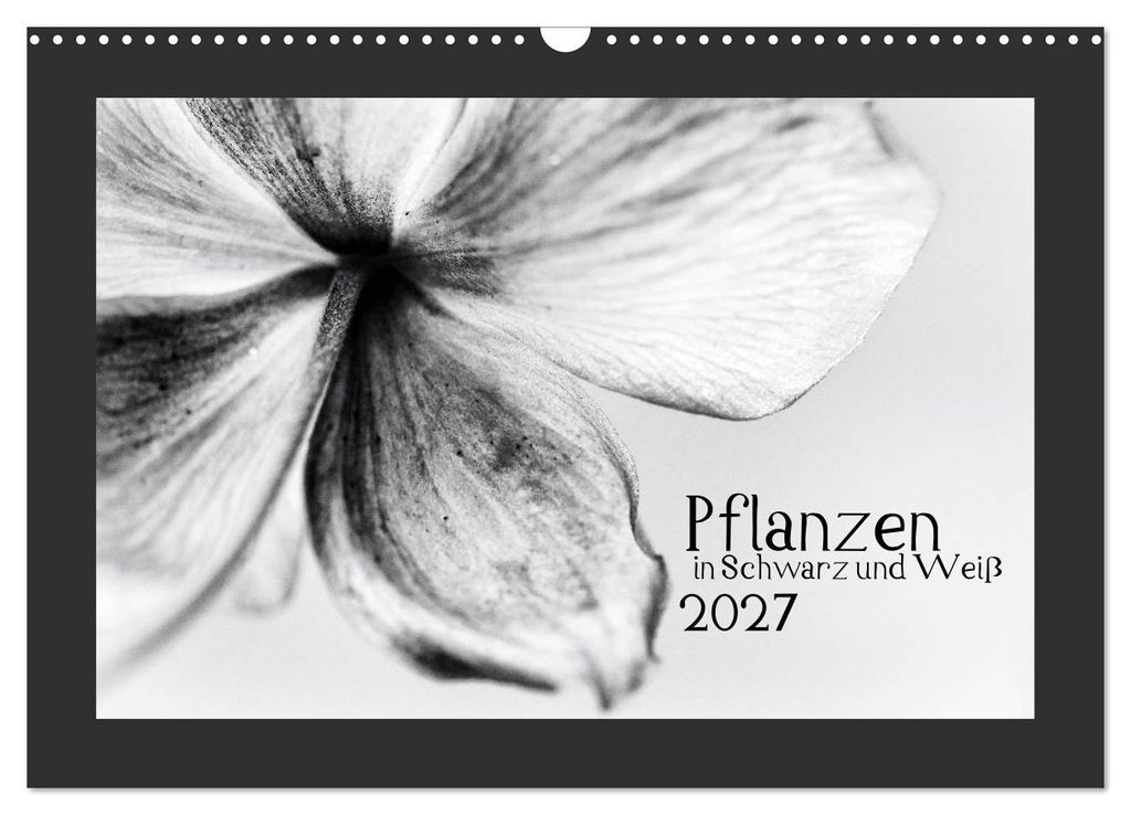 Pflanzen in Schwarz und Weiß (Wandkalender 2027 DIN A3 quer), CALVENDO Monatskalender