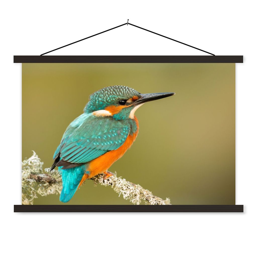 MuchoWow Textilposter Eisvogel - Tiere - Vogel 60x40 cm mit schwarzem Rahmen - Hölzernes