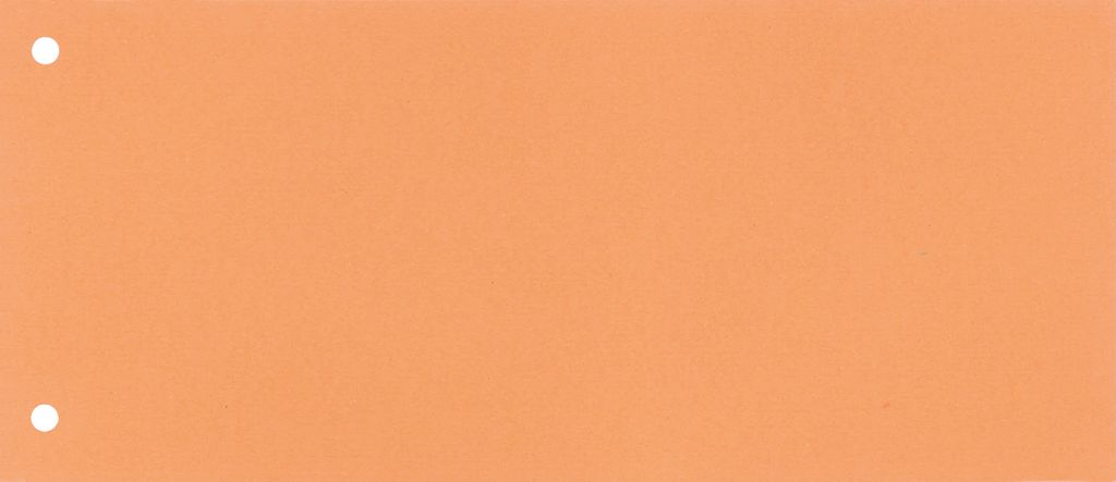 Trennstreifen 10,5x24cm Karton orange 100 St./Pack.