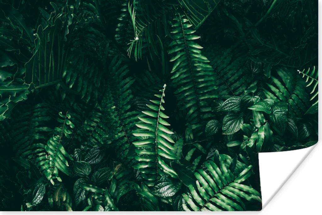 MuchoWow Poster Blätter - Dschungel - Natur - Tropisch - Pflanzen 120x80 cm - Bilder