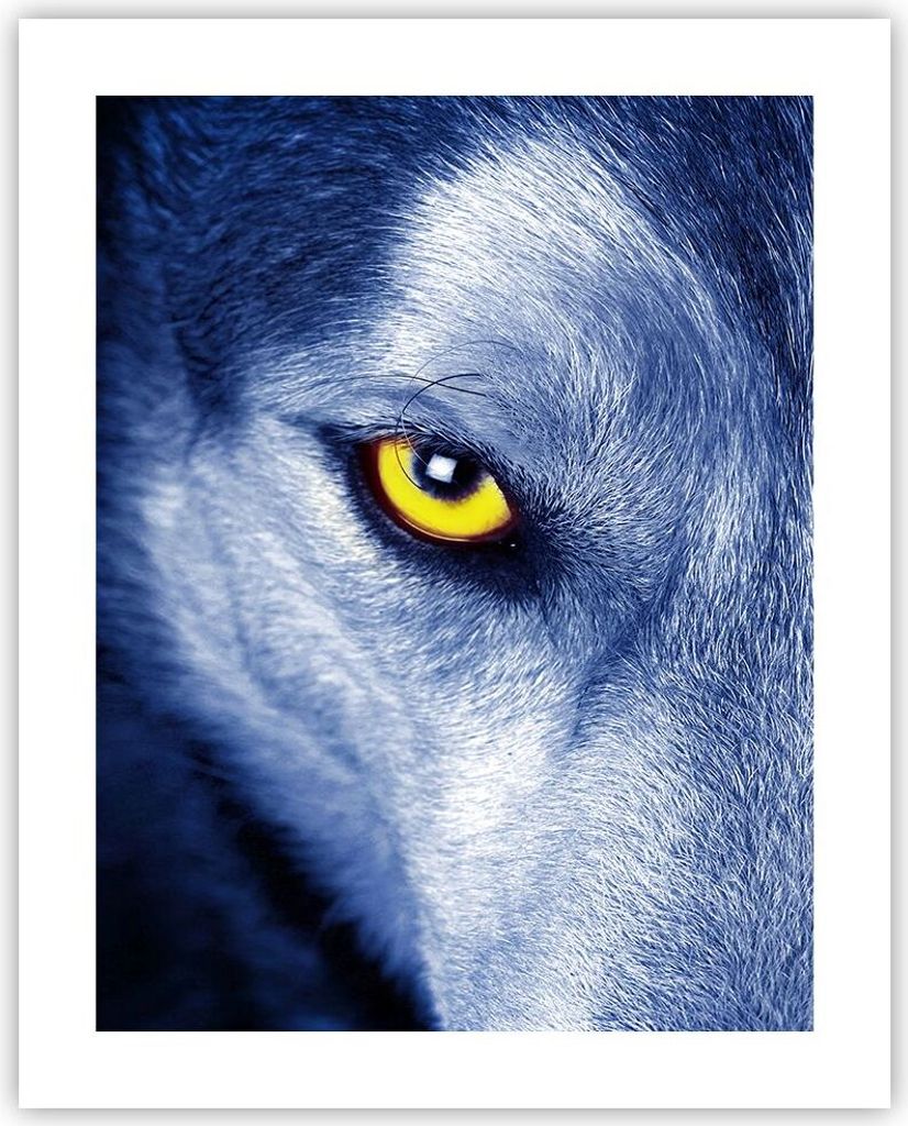 Poster - Poster ohne Rahmen - Schau der Wolf Augen - 40x50 cm - Wand Bild - Wanddeko - Wandbilder - Kunstposter - Wandposter - Bilder - Kunstdruck ...