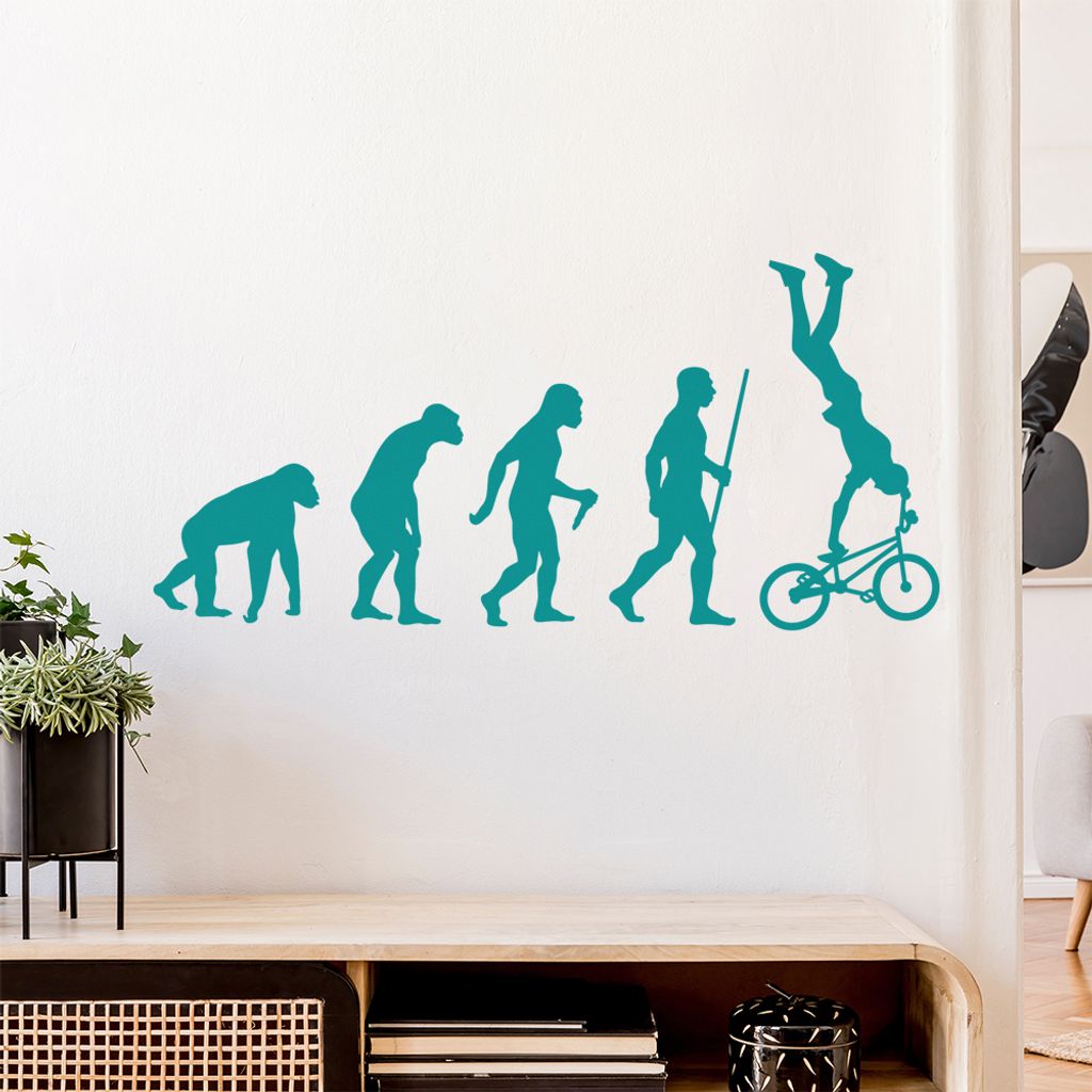 BMX Freestyle Evolution Wandtattoo Wandaufkleber Wall Sticker - Dekoration, Küche, Wohnzimmer, Schlafzimmer, Badezimmer
