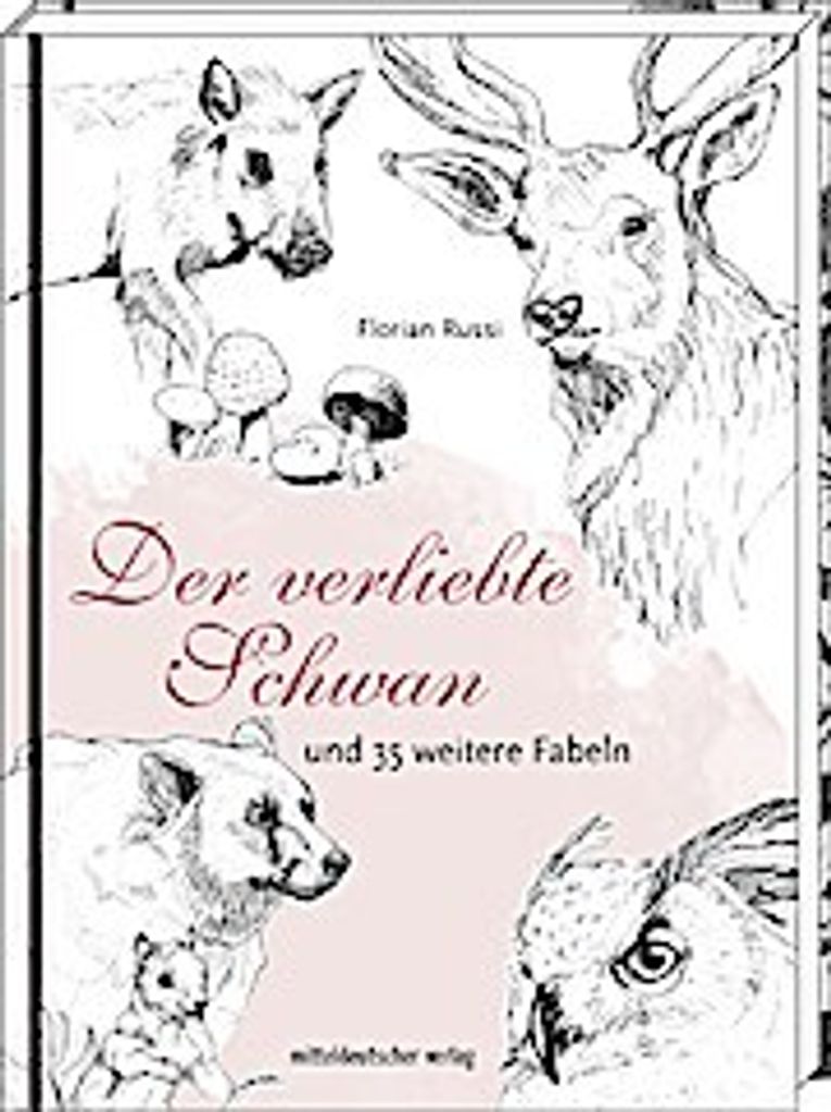 Der verliebte Schwan