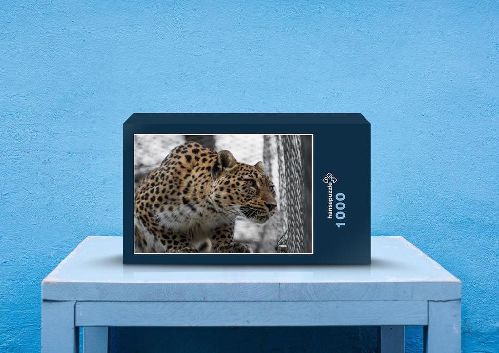 hansepuzzle 77291 - Leopard Puzzle, 1000 Teile, Tierwelt, 60,0 x 46,0cm mit hochwertiger Aufbewahrung, Kartonbox und wiederverschließbarem Beutel
