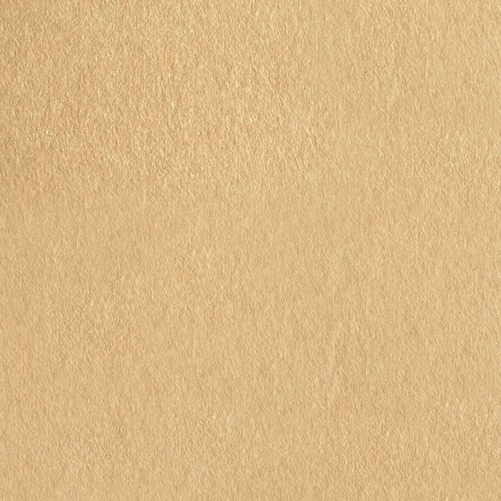 PROVISTON Akustik Wandpaneele 1040 x 520 x 6 mm Natur Filz Modular Paneele Cream Uni Beige Nachhaltig auf Filz aus recyceltem PET Einfarbig