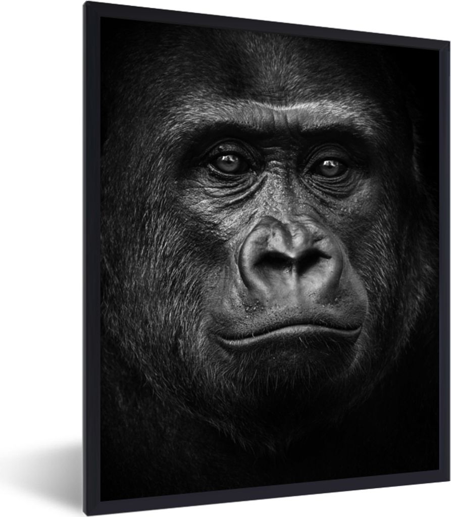MuchoWow Gerahmtes Poster Gorilla - Schwarz - Weiß - Tiere - Porträt 60x80 cm - Poster mit Schwarzem Bilderrahmen Wandposter Rahmen Foto Bilder...