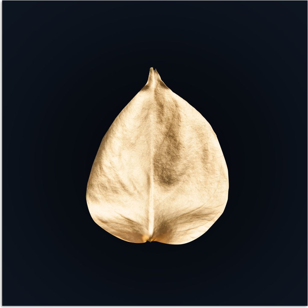 MuchoWow Poster Blätter - Schwarz und Gold - Schwarz - Gold - Luxus 100x100 cm - Babyzimmer