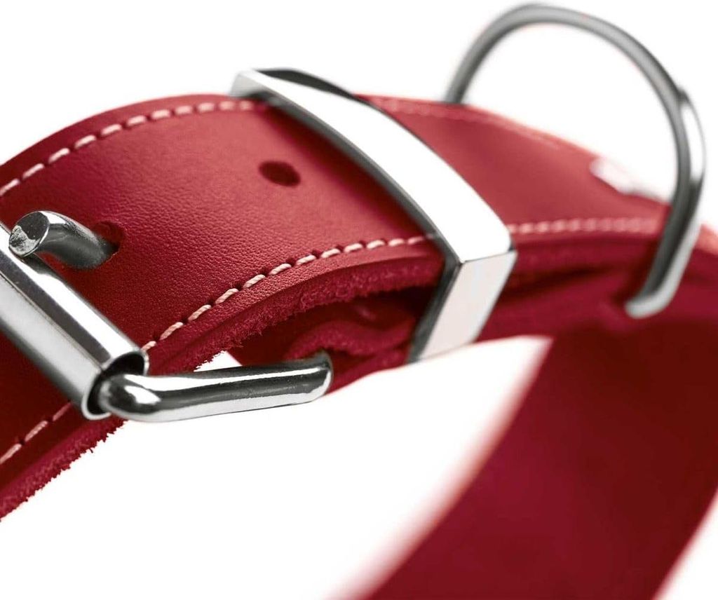 Nachhaltiges Lederhalsband für Hunde - Komfortabel und Stilvoll - 60 cm (M-L) - Rot