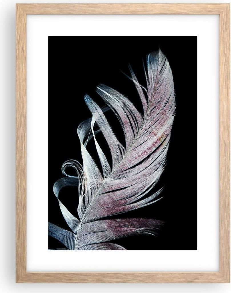 Gerahmtes Poster - Rahmen in heller Eiche - Feder die Farben Zartheit - 30x40 cm - Wand Bild - Wanddeko - Wandbilder - Kunstposter - Wandposter - B...