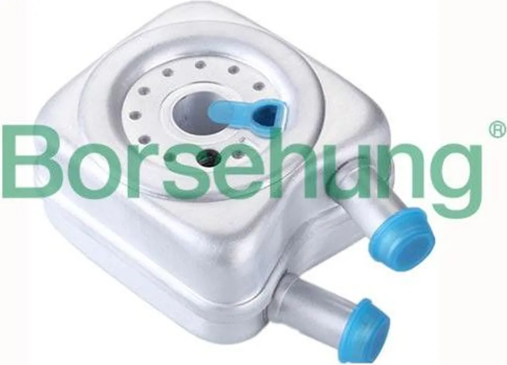 Refroidisseur d'huile Borsehung B14506 OE 078117021A pour Golf et A4