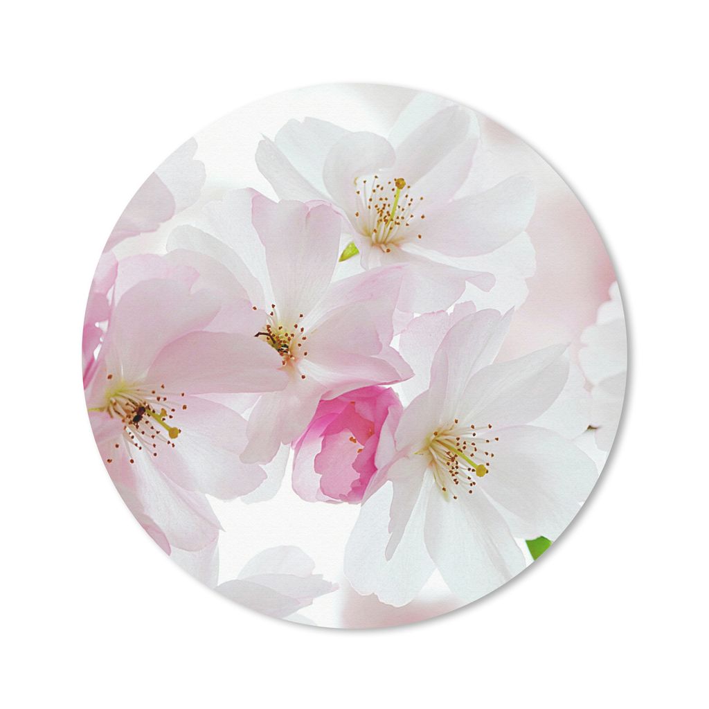 MuchoWow Mauspad Mousepad Kirschen - Blüte 30x30 cm - Mousepads - Maus Mat - Pad - Mausunterlage - Tischunterlage - Schreibtischmatten