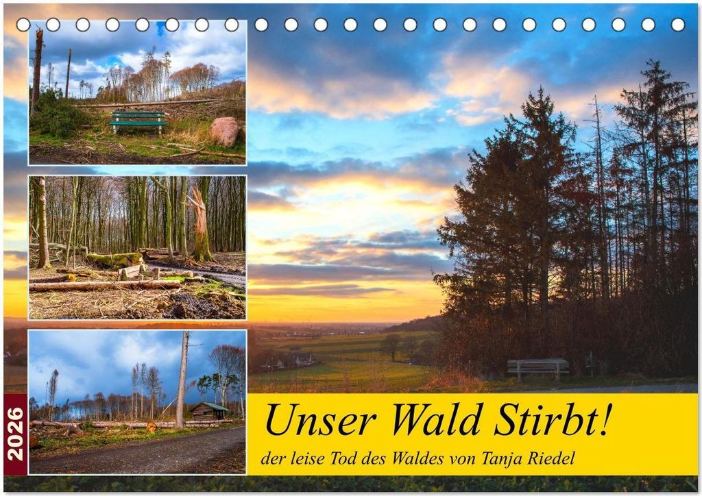 Unser Wald Stirbt (Tischkalender 2026 DIN A5 quer), CALVENDO Monatskalender